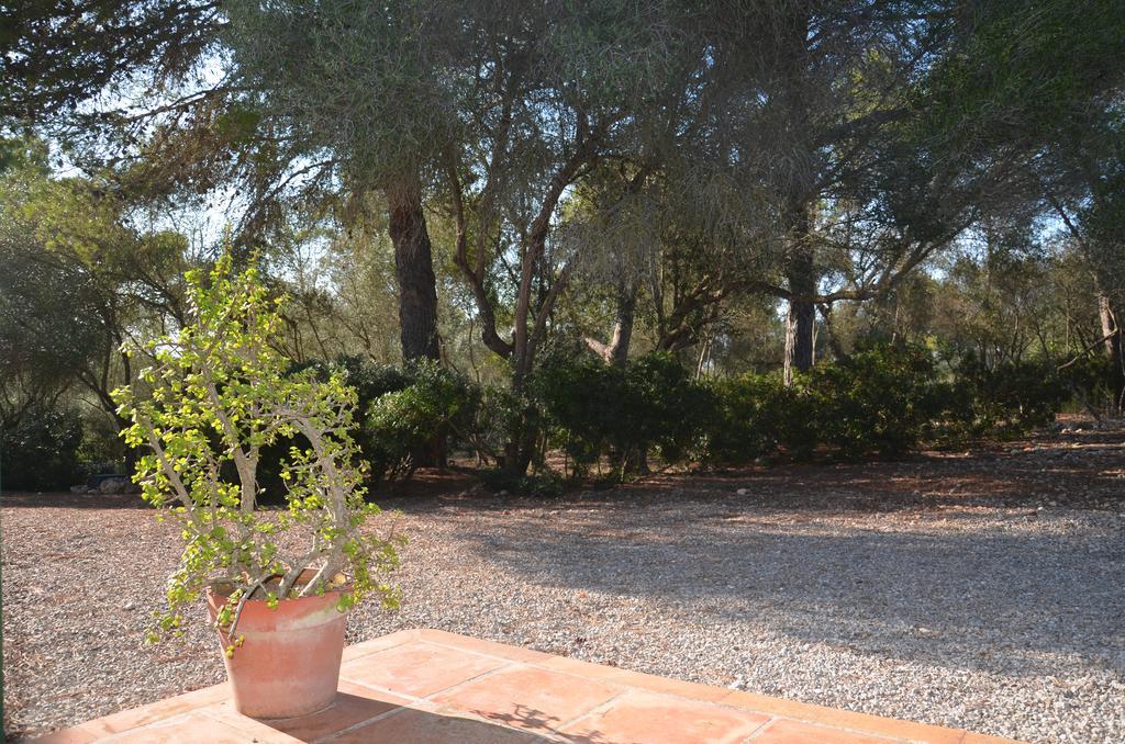 Finca Son Blat Порто Кристо Экстерьер фото