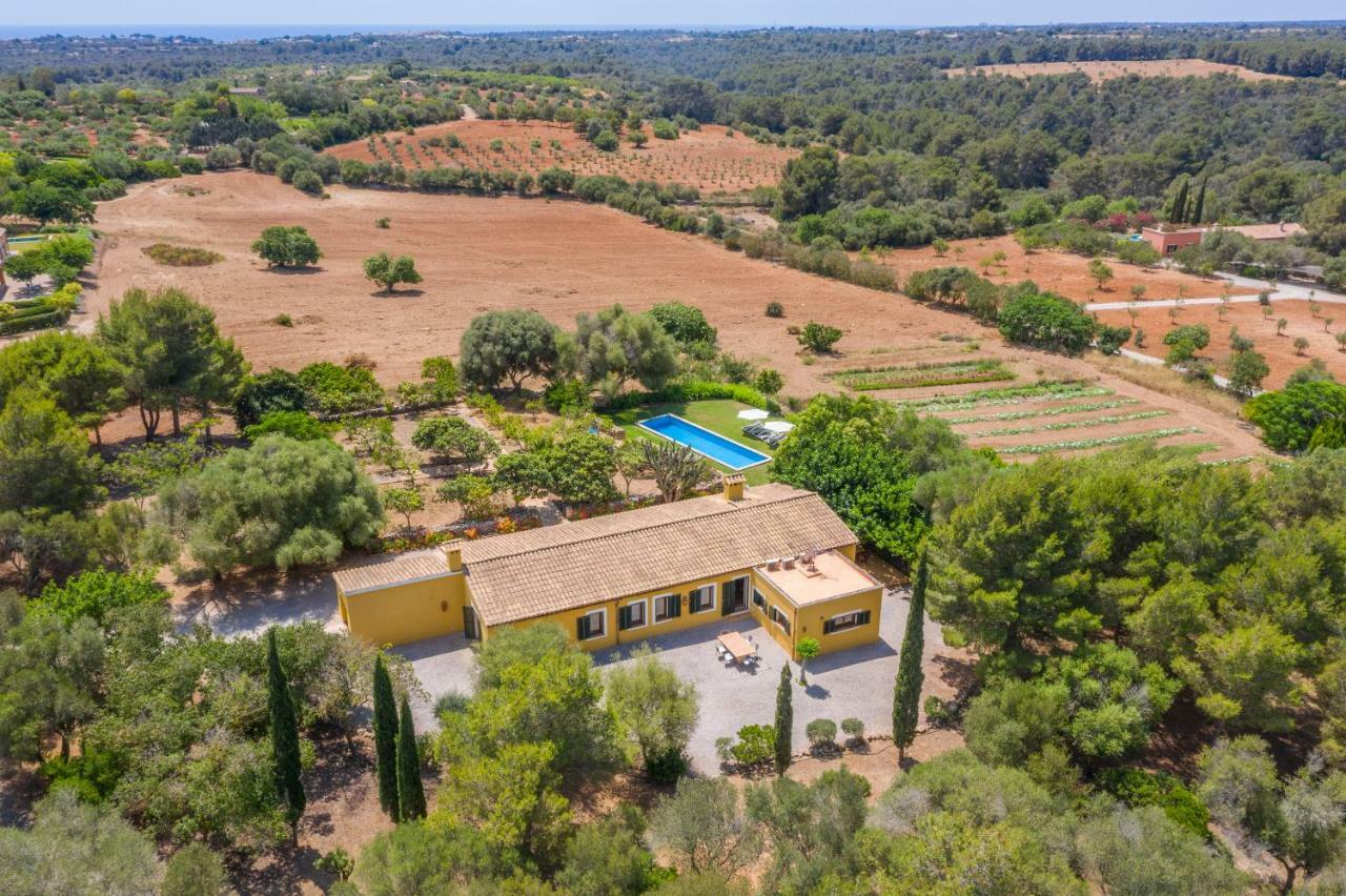 Finca Son Blat Порто Кристо Экстерьер фото